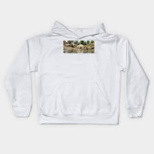 Polar bear walking by lake Kids Hoodie